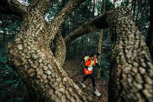 BIB: 
                            <button type="button" onclick="openModal(25393410)" class="btn btn-primary btn-sm float-right btn-popup" data-toggle="modal" data-target=".modal-high-quality">
                        <i class="fas fa-shopping-cart"></i> Add to Cart
                    </button>
                                            <button type="button" onclick="isThisMe(25393410, true)" class="btn btn-success btn-sm float-right btn-popup btn-isme hidden" data-toggle="tooltip" data-placement="bottom" title="นี่คือรูปของคุณใช่ไหม คลิกที่นี่เพื่อเอาเข้าอัลบั้ม">
                        <i class="fas fa-plus"></i> Add to album
                    </button>
                    <button type="button" onclick="isThisMe(25393410, false)" class="btn btn-warning btn-sm float-right btn-popup btn-isnotme hidden">
                        <i class="fas fa-ban"></i> Remove from album
                    </button>